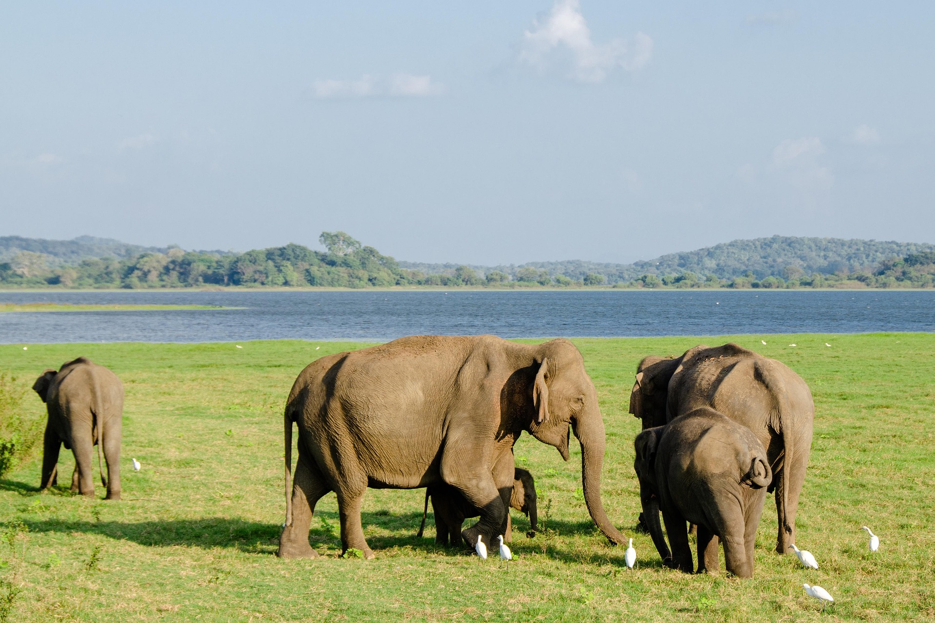 sri lanka tour