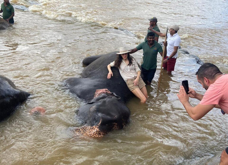 Pinnawala Elephant Orphanage