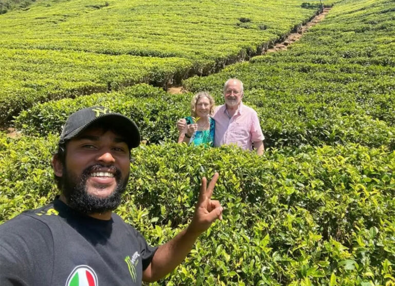 Tea Estates in Nuwara Eliya
