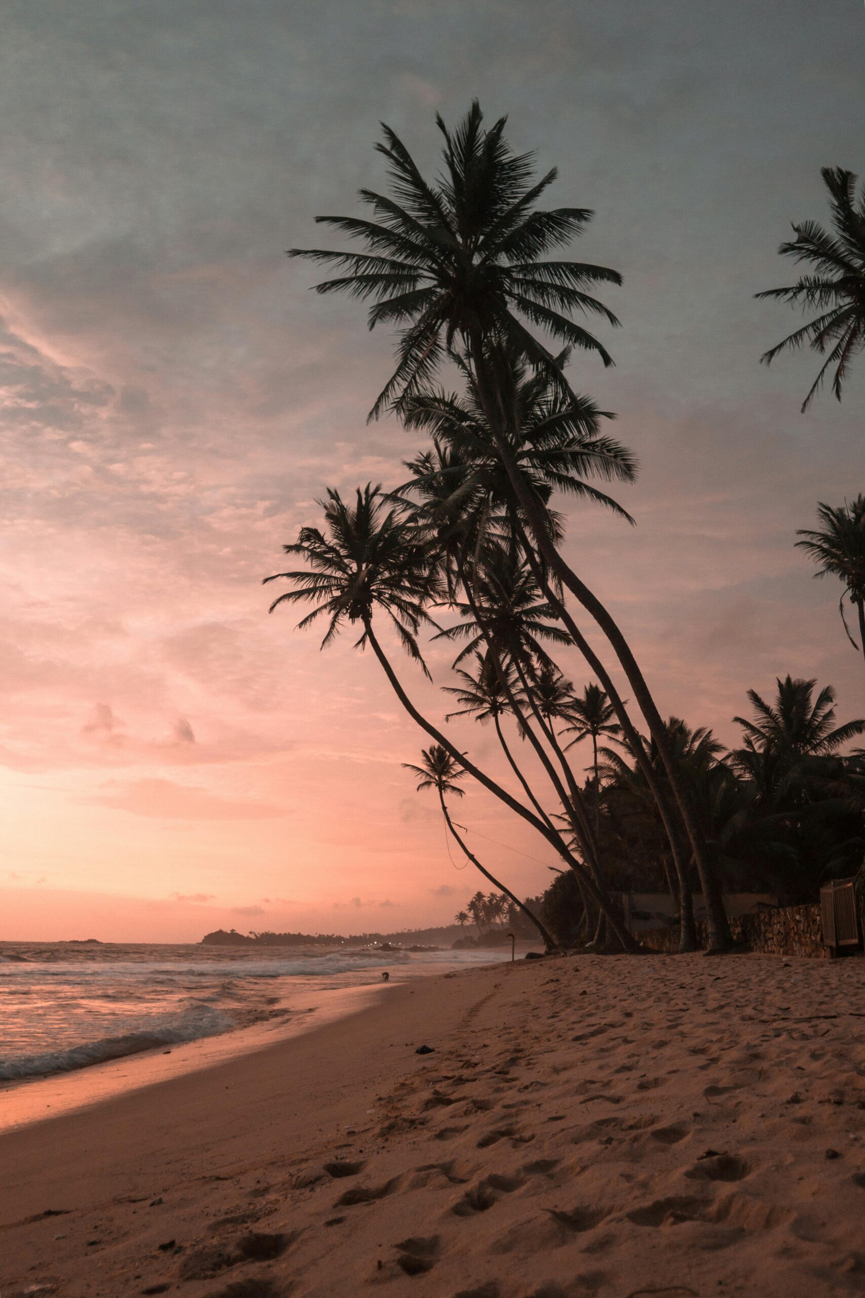 Why Nilaveli Beach is the Absolute Best Reason to Visit East Sri Lanka