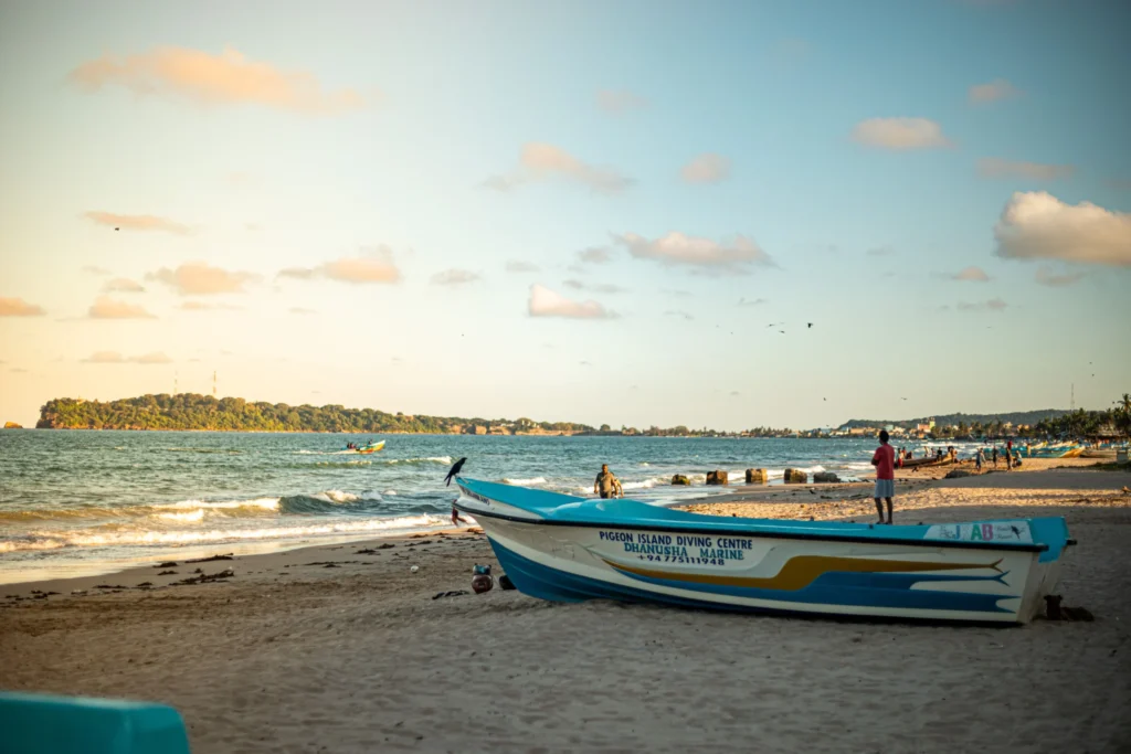 Whale Watching in Trincomalee: When, Where & What You'll See
